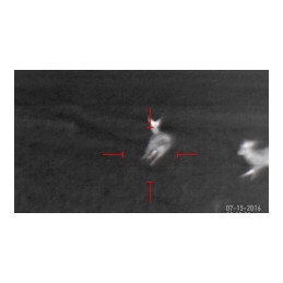 ATN MARS 4, 25mm, 2-8x, 384x288, Thermal Rifle Scope, Photo & Video,  Android & IOS App