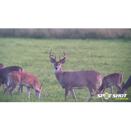 SME Spot Shot – Wifi Spotting Scope Camera