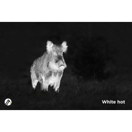 Alpen Optics Apex 384x288, 35mm, 2x-8x, 1300m, Wi-fi Thermal Imager