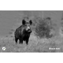Alpen Optics Apex 384x288, 35mm, 2x-8x, 1300m, Wi-fi Thermal Imager