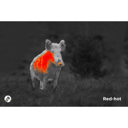 Alpen Optics Apex 384x288, 25mm, 1.5x-8x, 1000m, Wi-fi Thermal Imager
