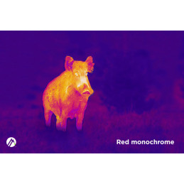 Alpen Optics Apex 384x288, 25mm, 1.5x-8x, 1000m, Wi-fi Thermal Imager