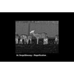 Alpen Optics Apex 384x288, 25mm, 1.5x-8x, 1000m, Wi-fi Thermal Imager
