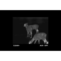 Alpen Optics Apex 384x288, 25mm, 1.5x-8x, 1000m, Wi-fi Thermal Imager