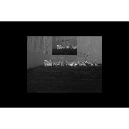 Alpen Optics Apex 384x288, 25mm, 1.5x-8x, 1000m, Wi-fi Thermal Imager