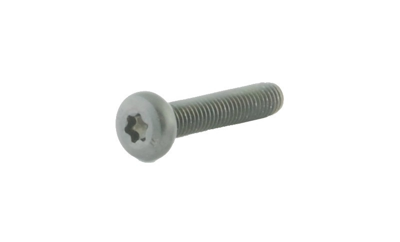 SPUHR M5x25 Tx20 Clamping Screws (4 pcs) SPUHR M5x25 Tx20 Clamping Screws (4 pcs)