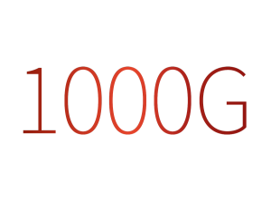 InfiRay Saim SCL35W termovizorinis taikiklis 1000g